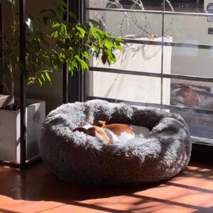 Cama antiestres para perro y gato